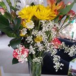 Darla Kay Graddy Robbins - @graddyrobbins - Instagram