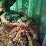 Darla Robbins - @darla.robbins.520 - Instagram