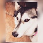 Darla & Scott - @darlaandscott - Instagram