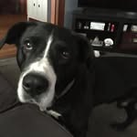 Darla Scott Frazier - @darlafrazier1 - Instagram