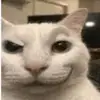 in soto - @darla.soto0 - TikTok