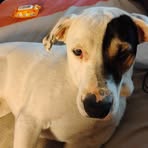 Darla Webb - Facebook