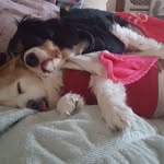 Darlene Angelozzi - @darleneangelozzi - Instagram