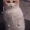 darleneaveryofz73 - @darleneaveryofz73 - TikTok