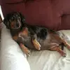 Darlene Baswell Kimbrell - @darlenebaswellkim - TikTok