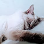 Darlene Baxter - @darlenebaxter72 - Instagram