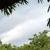 DarleneBaxter - @darlenebaxtermhxaeuqx - TikTok