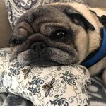 Darlene Smith Benjamin - @darlene.s.benjamin - Instagram