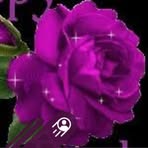 Darlene Gail Blackwell - Facebook