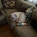 Darlene Blanco - Facebook