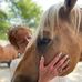 Darlene Bledsoe - Facebook
