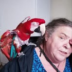 Darlene Bode - Facebook
