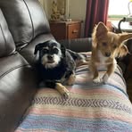 Darlene Boucher - Facebook