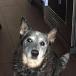 Darlene Boucher - @darlene.boucher - Instagram