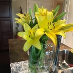 Darlene Bowes - @bowesdarlene - Instagram