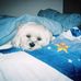 Darlene Bradshaw - Facebook