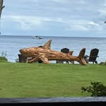 Darlene Brady Shearer - @darleneshearer9 - Instagram