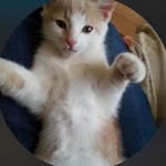 Darlene Bragg - @darlenebragg121 - Instagram