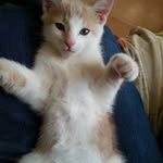 Darlene Bragg - @darlene.bragg - Instagram