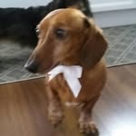 Darlene Bragger - @darlenebragger - Instagram