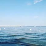 Darlene Brasher - @darlene.brasher - Instagram