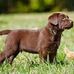 Darlene Breeding - Facebook