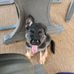 Darlene Breeding - Facebook