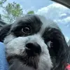 Darlene Albritton - @darlene.albritton - TikTok