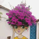 Darlene Morell Bruno - @darlenebruno65 - Instagram