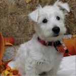 Darlene Bunch - @darlenebbunch - Instagram