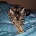 Darlene Burdette - Facebook
