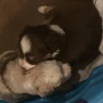 Darlene Callaway - @darlenecallaway - Instagram