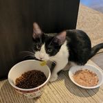 Darlene Temke Clarke - @darlene.clarke.359 - Instagram