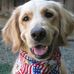 Darlene Cloud - Facebook