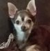 Darlene Cloud - Facebook