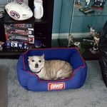 Darlene Collier - @darlenecollier228 - Instagram