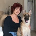 Darlene Silveira Collier - @kpcalmncollieron - Instagram