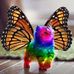 Darlene Comer - Facebook