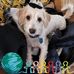 Darlene Connell Duncan - Facebook