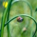 Darlene Conroy - Facebook