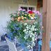 Darlene Corey - Facebook