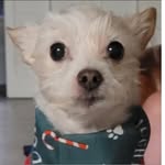 Darlene Corey - @dcorey2001 - Instagram
