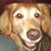 Darlene Cornell - Facebook
