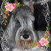 Darlene E Cornell - Facebook