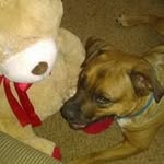 Darlene Correll Stumfoll - @darlenestumfoll - Instagram