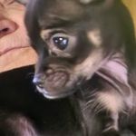 Darlene Cothran - @lacy_an_darlene - Instagram