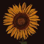 Darlene Cothran - @doodleworks_by_darlene - Instagram