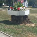 Darlene Cotten - Facebook