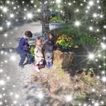 Darlene Sippley-Cotter - @sippleycotter - Instagram