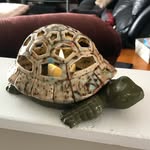 Darlene - @crafts_by_darlene - Instagram
